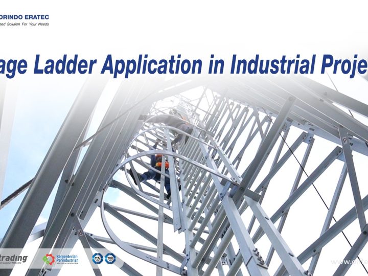 Cage Ladder Application in Industrial Project